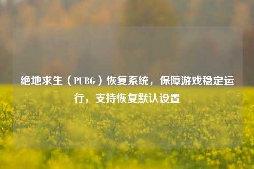 绝地求生(PUBG)恢复系统,保障游戏稳定运行,支持恢复默认设置