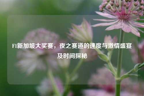 F1新加坡大奖赛,夜之赛道的速度与激情盛宴及时间探秘