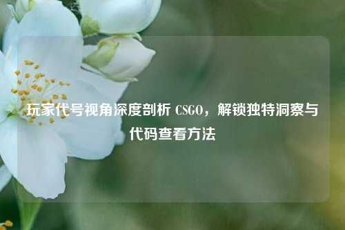 玩家代号视角深度剖析 CSGO，解锁独特洞察与代码查看方法