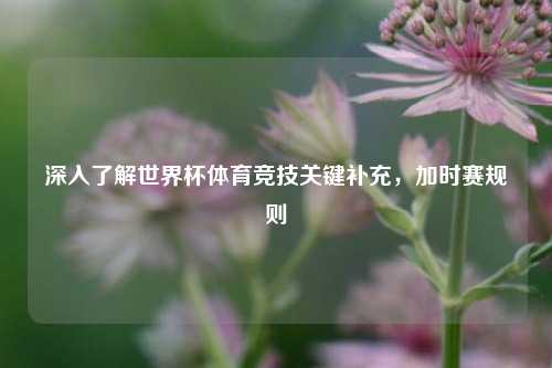 深入了解世界杯体育竞技关键补充,加时赛规则