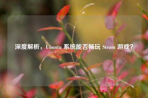 深度解析,Ubuntu 系统能否畅玩 Steam 游戏?