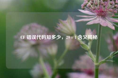 CF 错误代码知多少,29 - 1 含义揭秘
