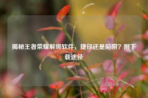揭秘王者荣耀解绑软件,捷径还是陷阱?附下载途径