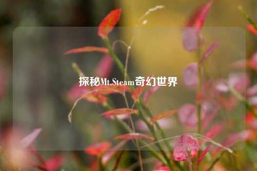 探秘Mt.Steam奇幻世界
