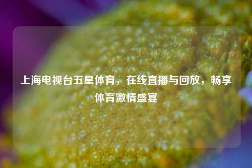 上海电视台五星体育,在线直播与回放,畅享体育激情盛宴