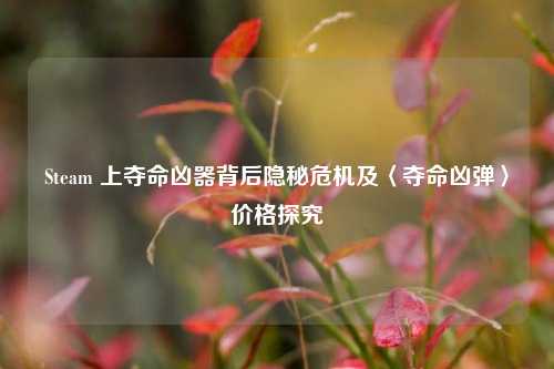 Steam 上夺命凶器背后隐秘危机及〈夺命凶弹〉价格探究