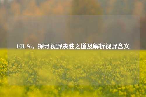 LOL S6,探寻视野决胜之道及解析视野含义