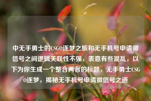 中无手勇士的CSGO逐梦之旅和无手机号申请微信号之间逻辑关联性不强,表意有些混乱,以下为你生成一个整合两者的标题,无手勇士CSGO逐梦,揭秘无手机号申请微信号之道