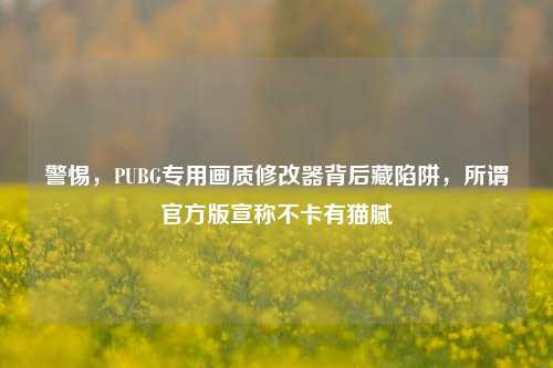 警惕，PUBG专用画质修改器背后藏陷阱，所谓官方版宣称不卡有猫腻