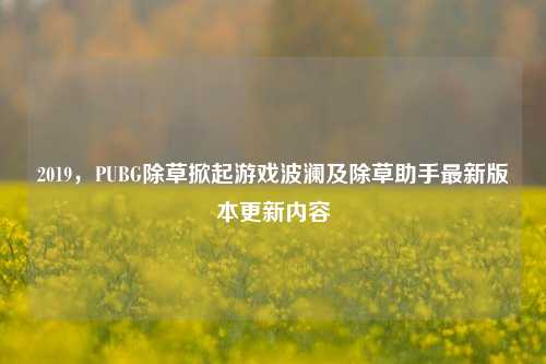2019,PUBG除草掀起游戏波澜及除草助手最新版本更新内容