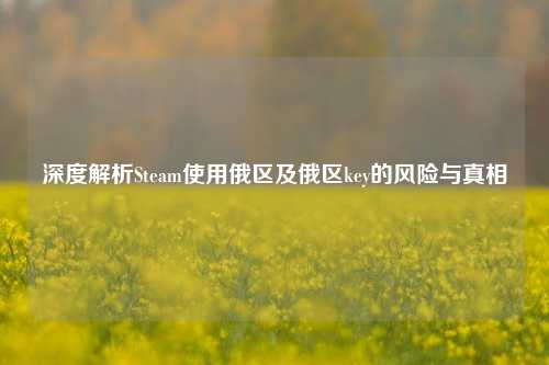 深度解析Steam使用俄区及俄区key的风险与真相