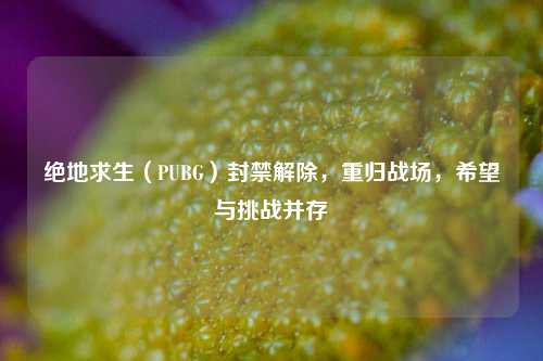 绝地求生(PUBG)封禁解除,重归战场,希望与挑战并存