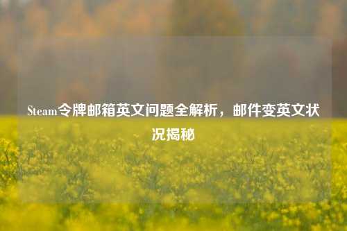 Steam令牌邮箱英文问题全解析，邮件变英文状况揭秘