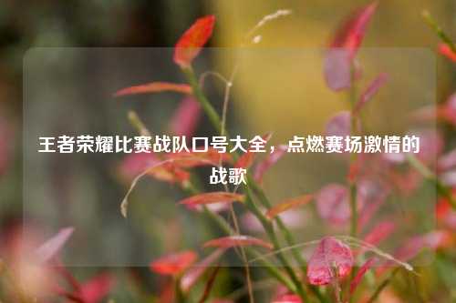 王者荣耀比赛战队口号大全,点燃赛场激情的战歌