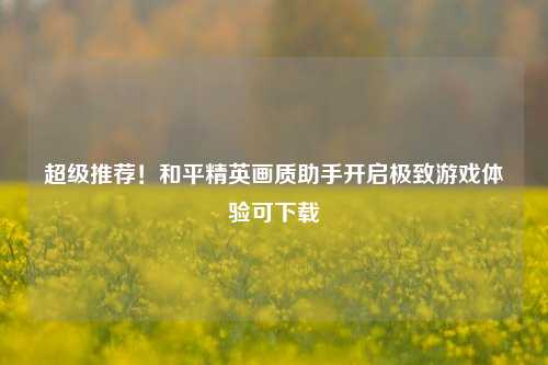 超级推荐!和平精英画质助手开启极致游戏体验可下载