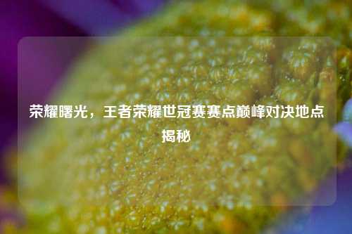 荣耀曙光,王者荣耀世冠赛赛点巅峰对决地点揭秘