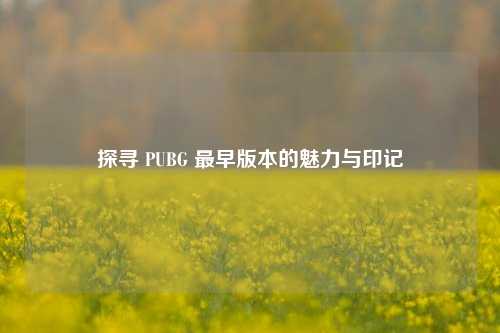 探寻 PUBG 最早版本的魅力与印记