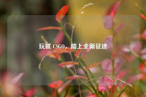 玩腻 CSGO,踏上全新征途