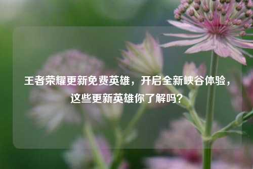 王者荣耀更新免费英雄,开启全新峡谷体验,这些更新英雄你了解吗?