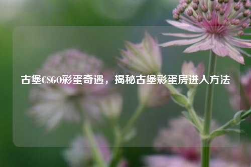 古堡CSGO彩蛋奇遇,揭秘古堡彩蛋房进入方法