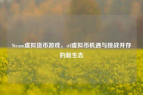 Steam虚拟货币游戏,stf虚拟币机遇与挑战并存的新生态