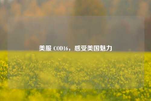 美服 COD16,感受美国魅力