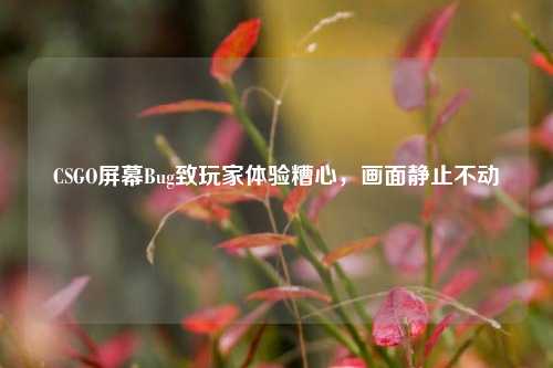 CSGO屏幕Bug致玩家体验糟心,画面静止不动