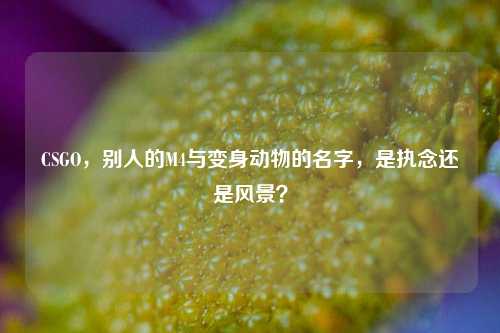 CSGO，别人的M4与变身动物的名字，是执念还是风景？