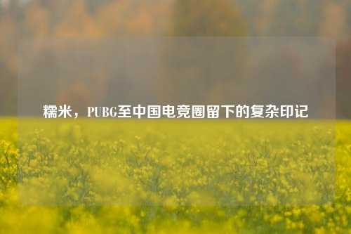 糯米，PUBG至中国电竞圈留下的复杂印记