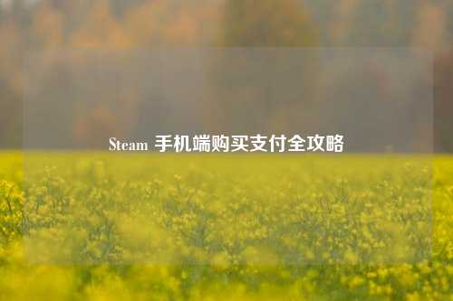 Steam 手机端购买支付全攻略