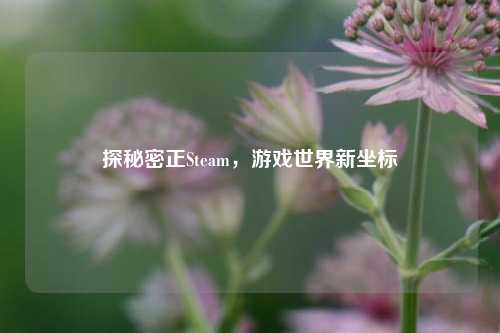 探秘密正Steam,游戏世界新坐标