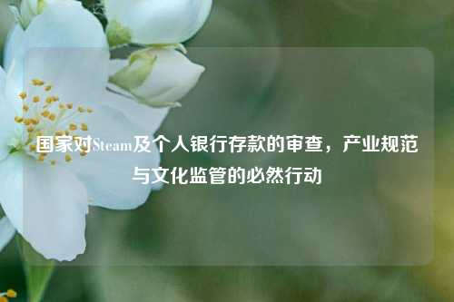 国家对Steam及个人银行存款的审查，产业规范与文化监管的必然行动