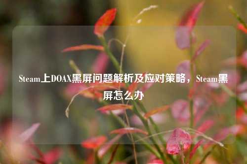 Steam上DOAX黑屏问题解析及应对策略,Steam黑屏怎么办