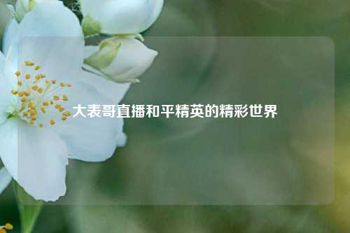 大表哥直播和平精英的精彩世界