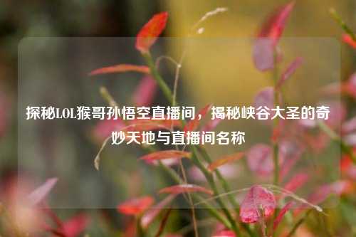 探秘LOL猴哥孙悟空直播间,揭秘峡谷大圣的奇妙天地与直播间名称