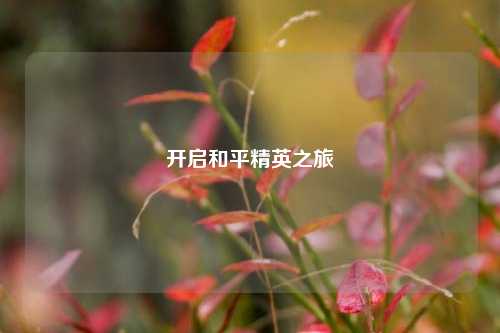 开启和平精英之旅