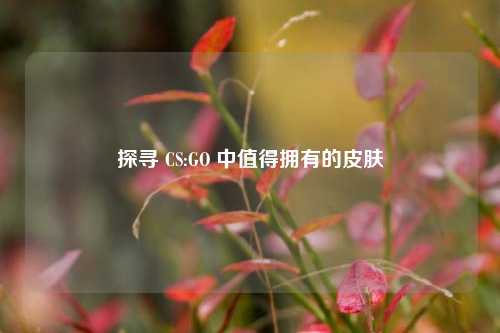 探寻 CS:GO 中值得拥有的皮肤