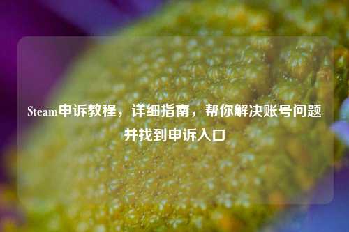 Steam申诉教程，详细指南，帮你解决账号问题并找到申诉入口