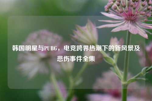 韩国明星与PUBG,电竞跨界热潮下的新风景及悲伤事件全集