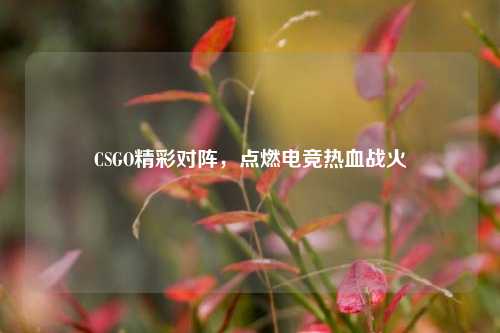 CSGO精彩对阵,点燃电竞热血战火
