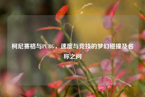 柯尼赛格与PUBG,速度与竞技的梦幻碰撞及名称之问