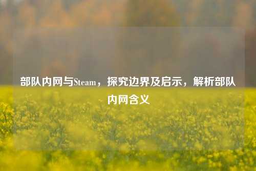 部队内网与Steam,探究边界及启示,解析部队内网含义