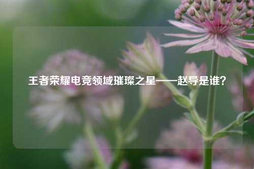 王者荣耀电竞领域璀璨之星——赵导是谁?