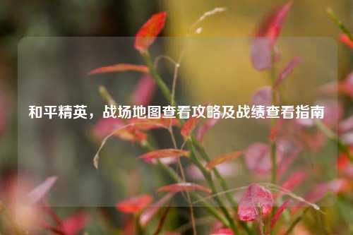 和平精英,战场地图查看攻略及战绩查看指南
