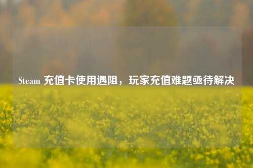Steam 充值卡使用遇阻，玩家充值难题亟待解决