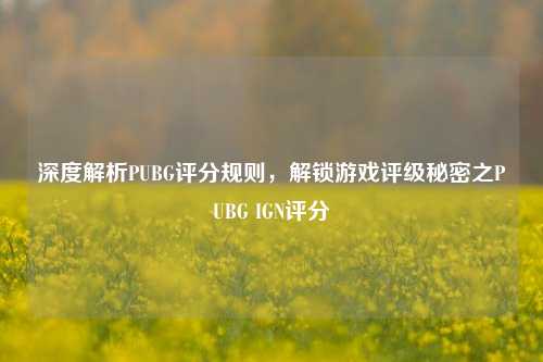 深度解析PUBG评分规则,解锁游戏评级秘密之PUBG IGN评分