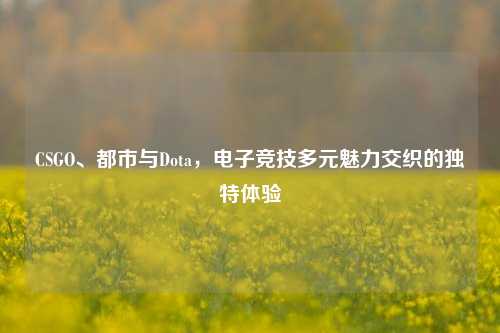 CSGO、都市与Dota，电子竞技多元魅力交织的独特体验