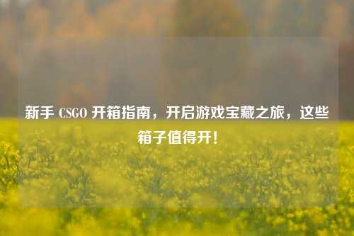 新手 CSGO 开箱指南,开启游戏宝藏之旅,这些箱子值得开!