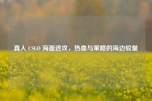 真人 CSGO 海面进攻,热血与策略的海边较量