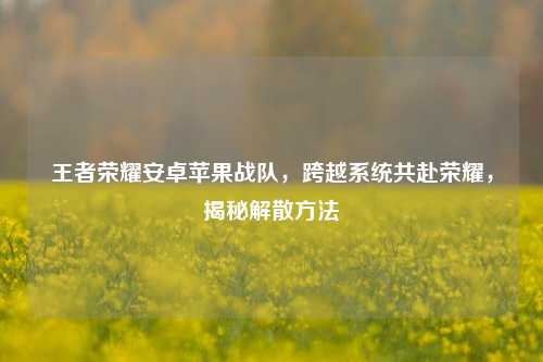 王者荣耀安卓苹果战队,跨越系统共赴荣耀,揭秘解散方法